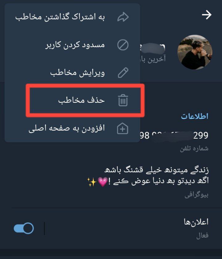 آموزش حذف مخاطب تکی در اپلیکیشن روبیکا