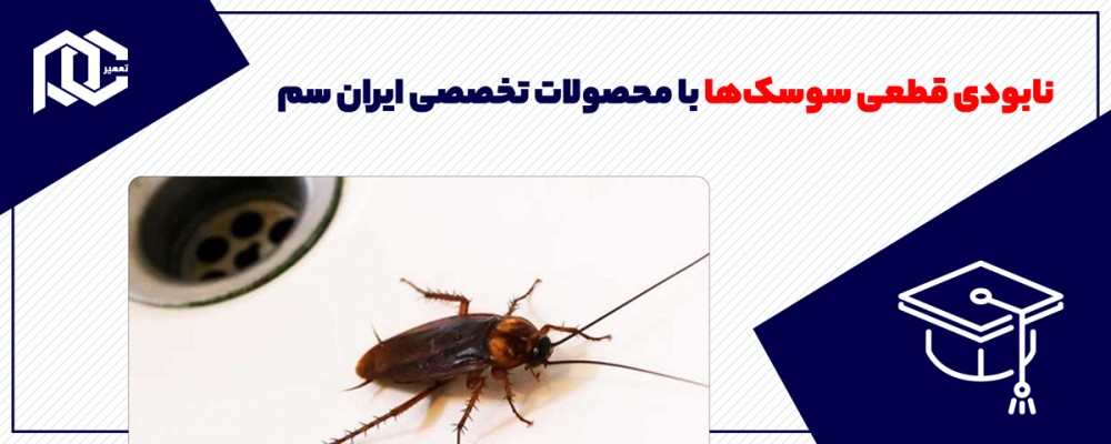 نابودی قطعی سوسک‌ها با محصولات تخصصی ایران سم